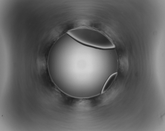 X0000114500617200910191252