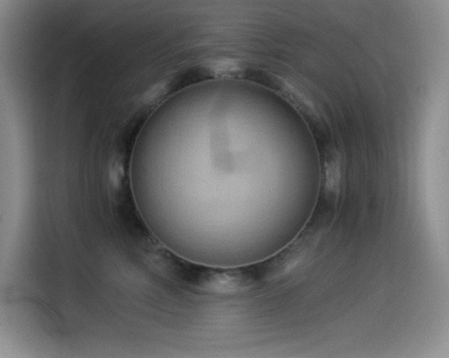 X0000114500618200910191252