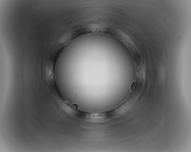 X0000114500622200910191252