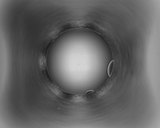 X0000114500624200910191252