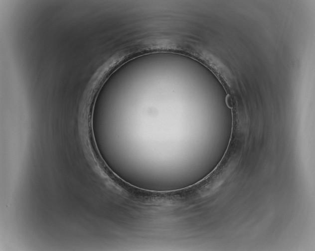 X0000114500625200910191251