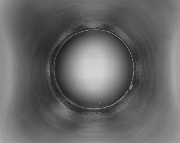 X0000114500626200910191251