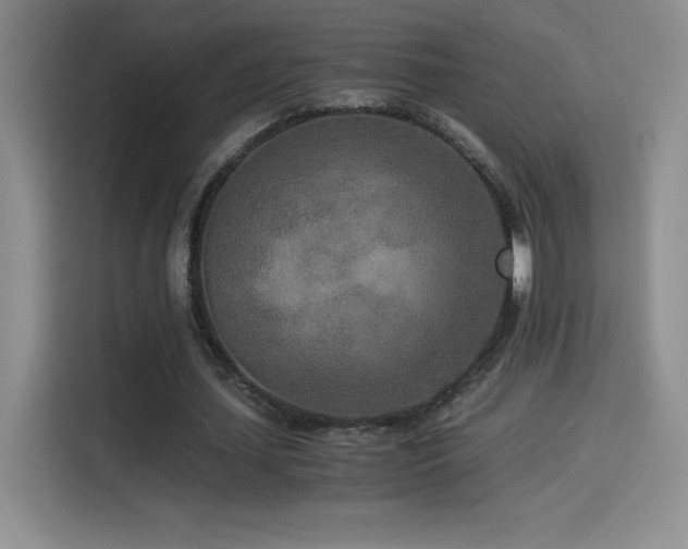 X0000114500627200910191251