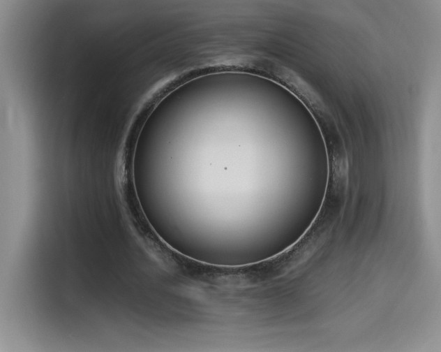 X0000114500628200910191251