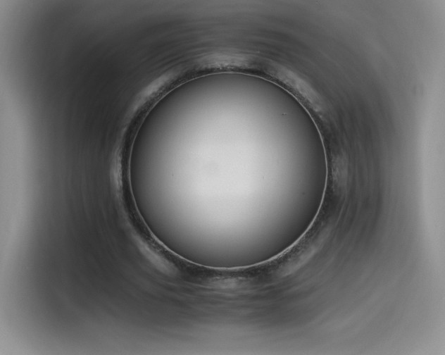 X0000114500629200910191251
