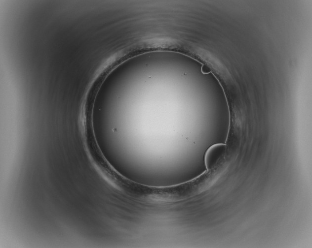 X0000114500630200910191251