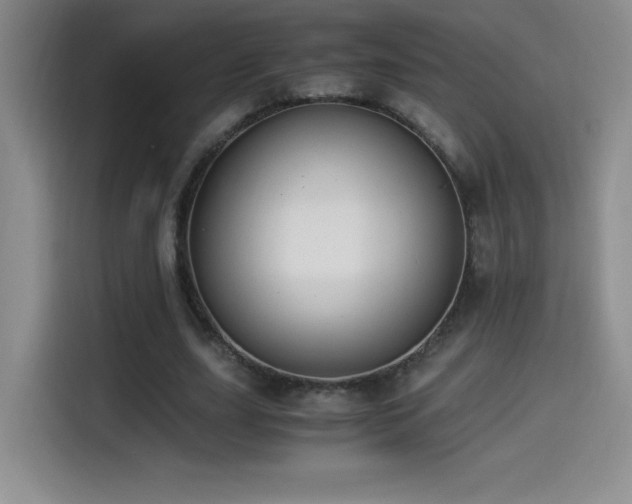 X0000114500631200910191251