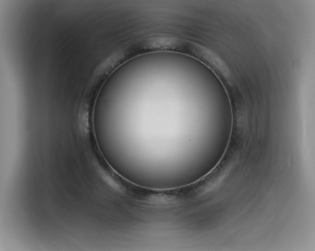X0000114500633200910191251