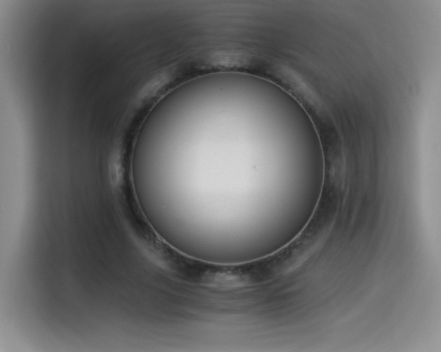 X0000114500635200910191251