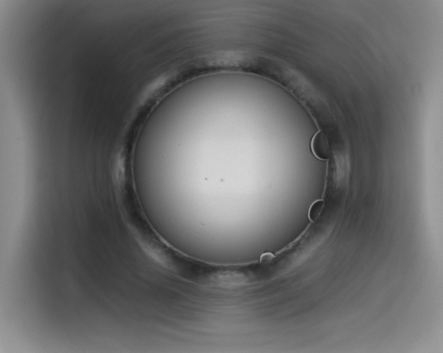 X0000114500636200910191251