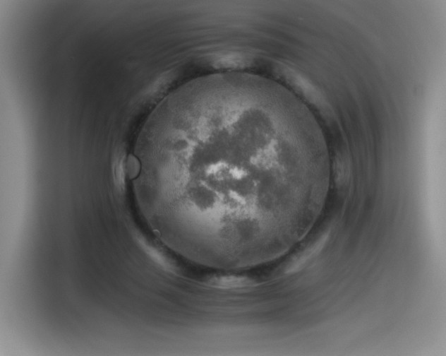 X0000114500637200910191251