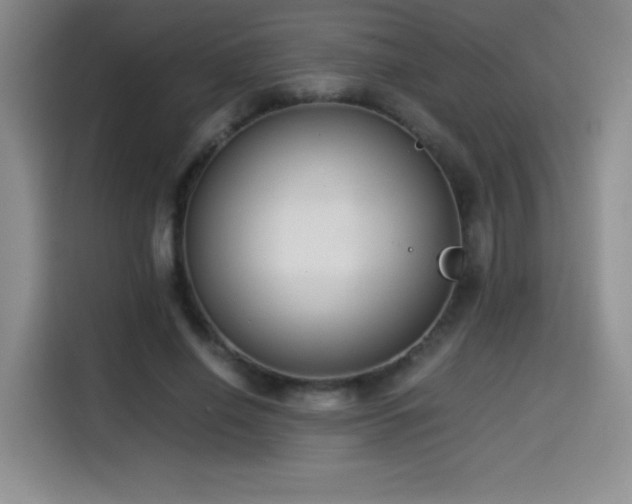 X0000114500638200910191251