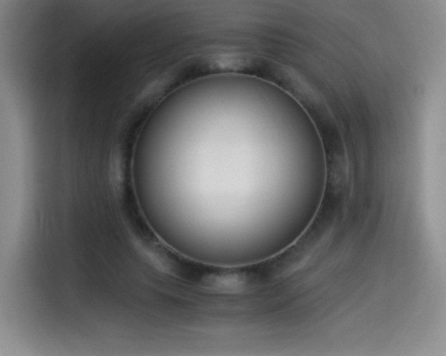 X0000114500639200910191251