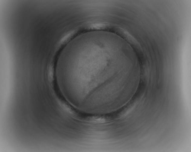 X0000114500640200910191251