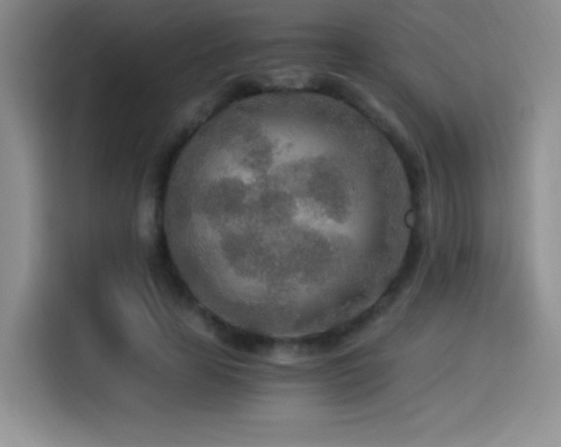 X0000114500641200910191251