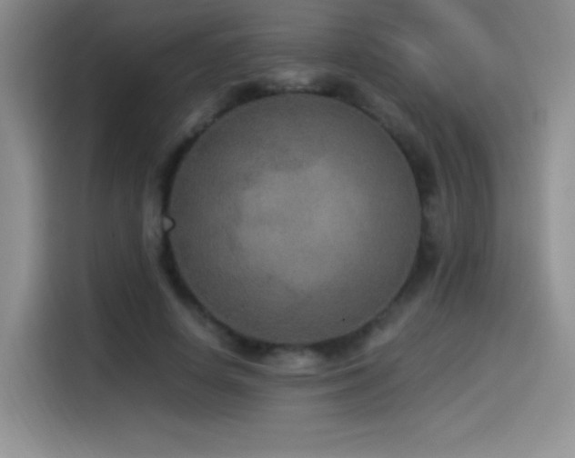 X0000114500642200910191252