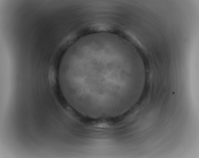 X0000114500643200910191252