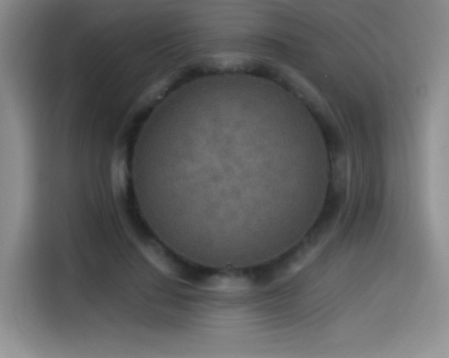 X0000114500644200910191252