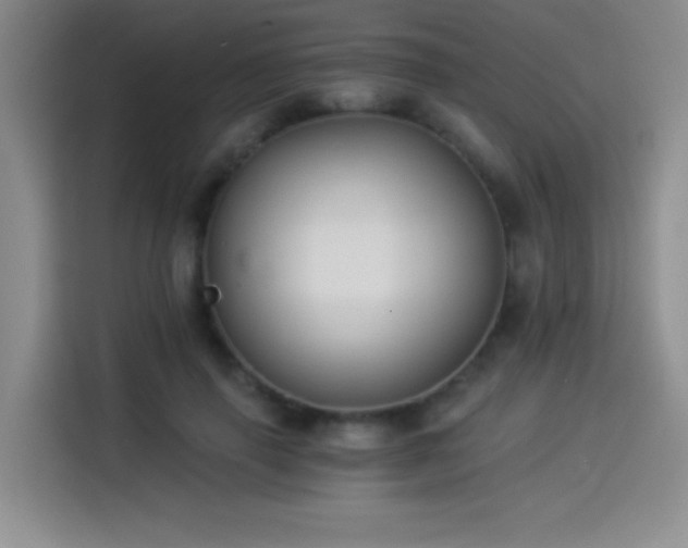 X0000114500645200910191252