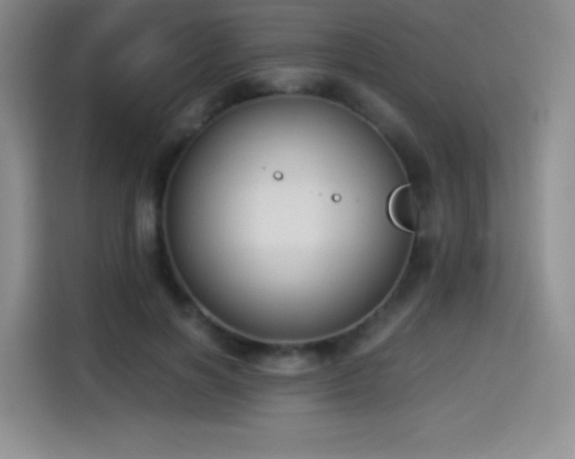 X0000114500646200910191252