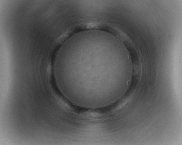 X0000114500648200910191252