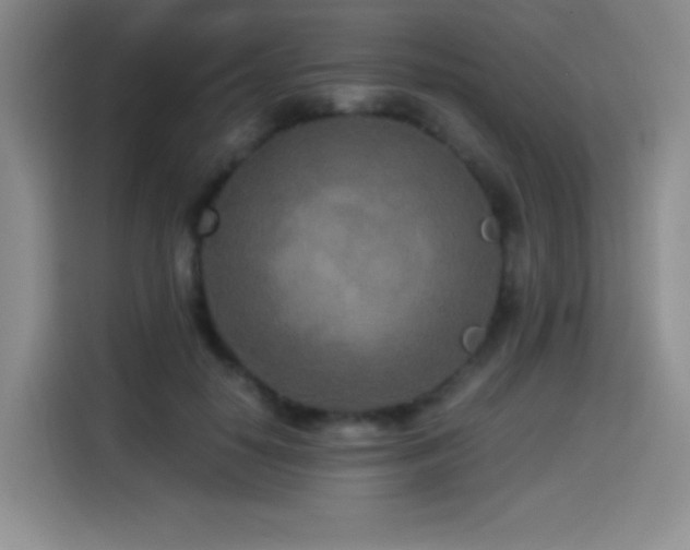 X0000114500650200910191252