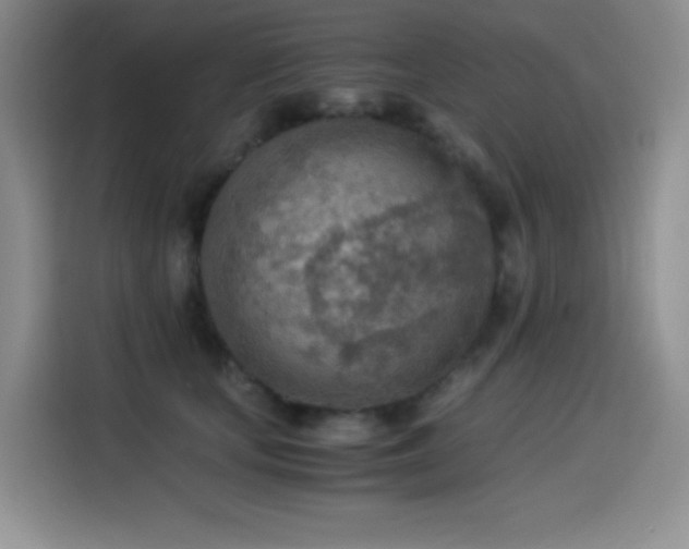 X0000114500659200910191252
