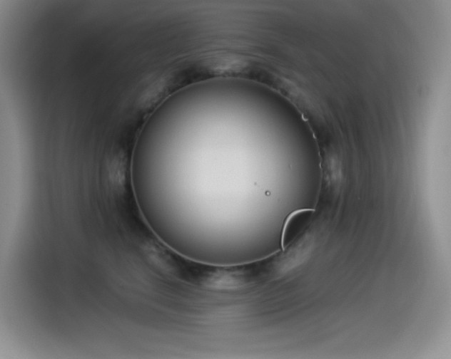 X0000114500664200910191252