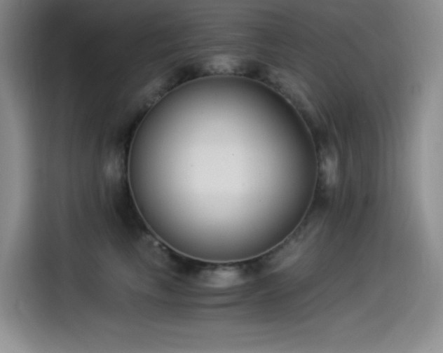 X0000114500665200910191252