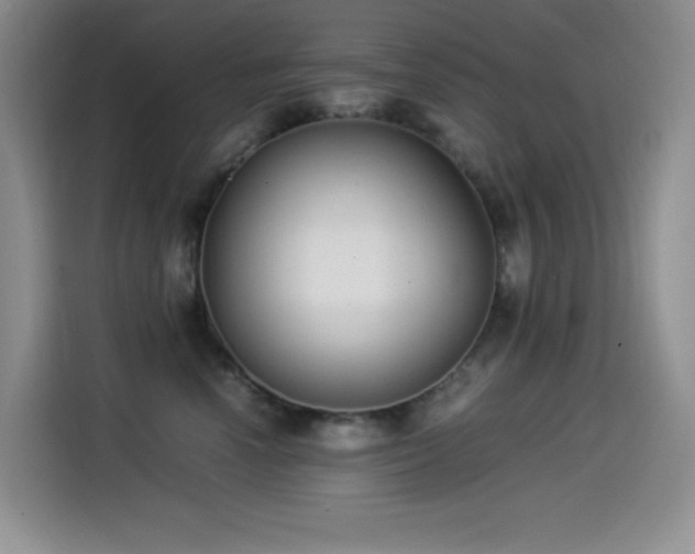X0000114500666200910191252