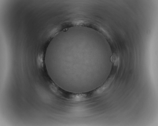 X0000114500670200910191252