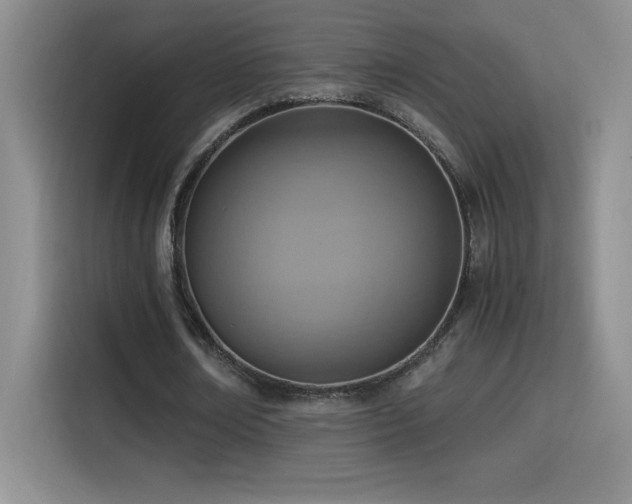 X0000114500674200910191251