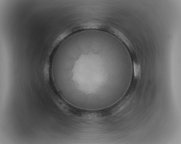 X0000114500675200910191251