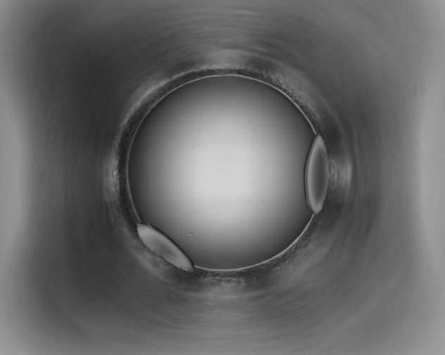 X0000114500676200910191251