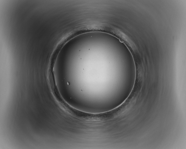 X0000114500677200910191251