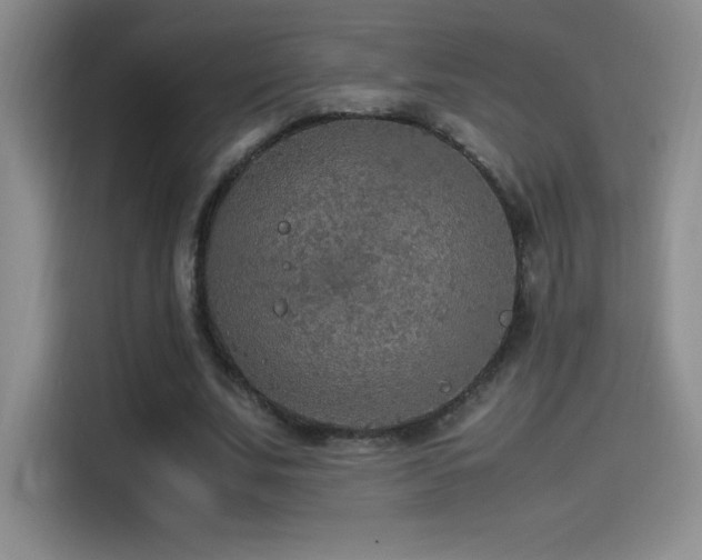 X0000114500679200910191251