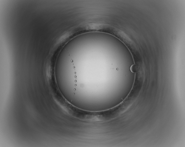 X0000114500683200910191251