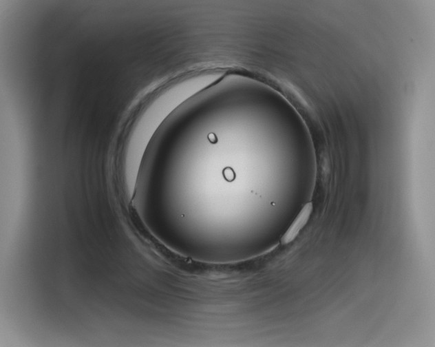 X0000114500684200910191251