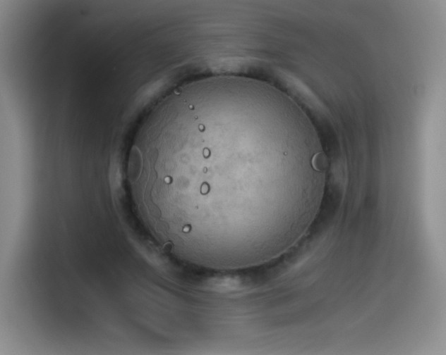 X0000114500687200910191251
