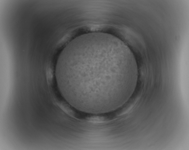 X0000114500691200910191251