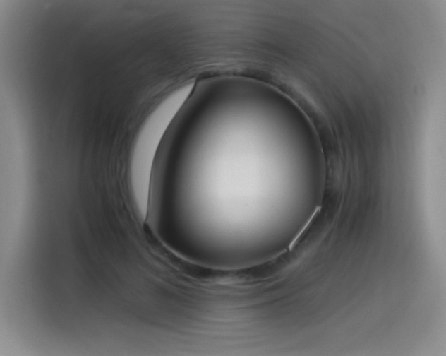 X0000114500692200910191251