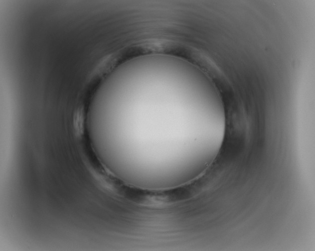 X0000114500694200910191251