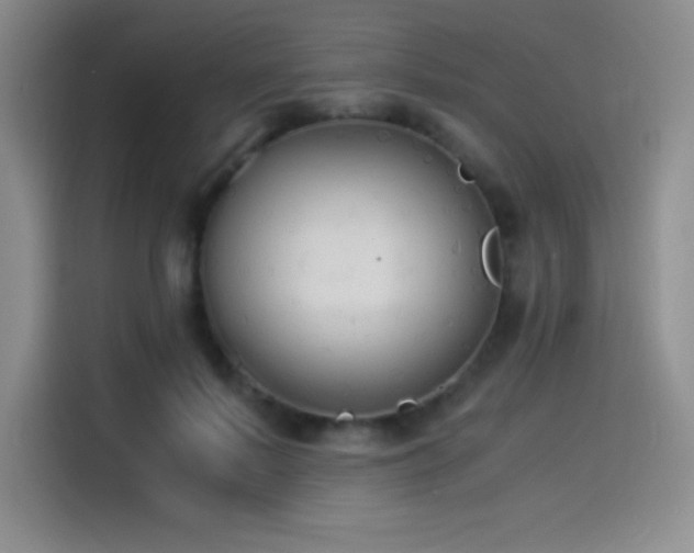 X0000114500695200910191251