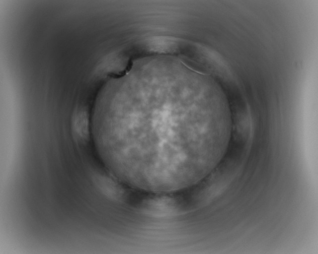 X0000114500696200910191251