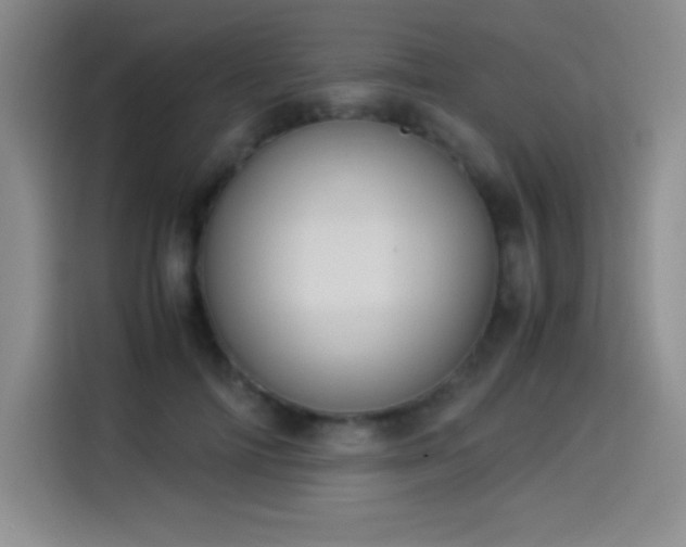 X0000114500698200910191251
