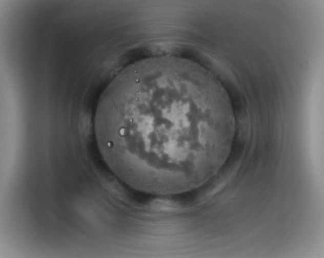 X0000114500699200910191251