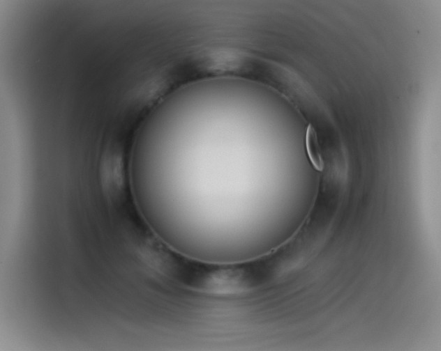 X0000114500700200910191251