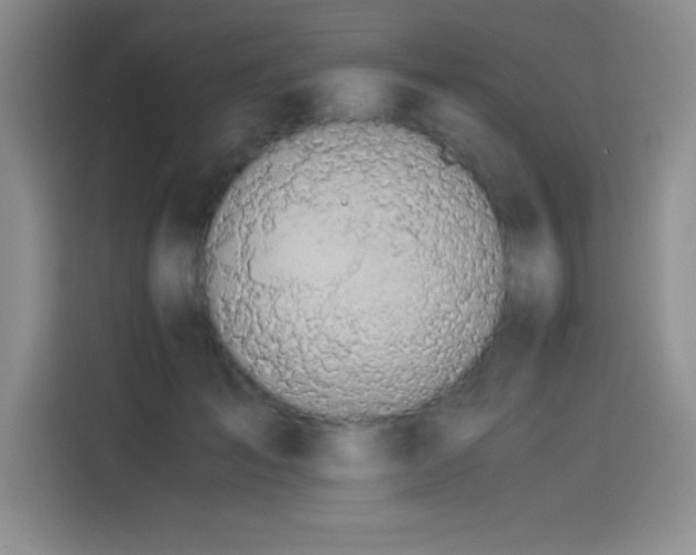 X0000114500701200910191251