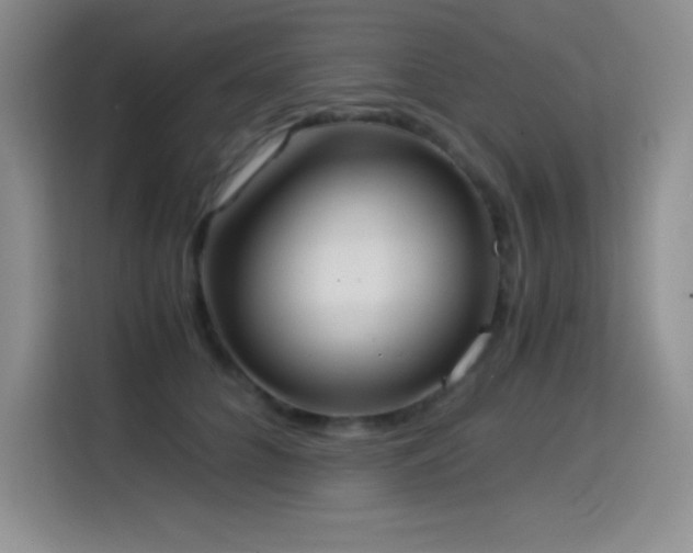 X0000114500704200910191251