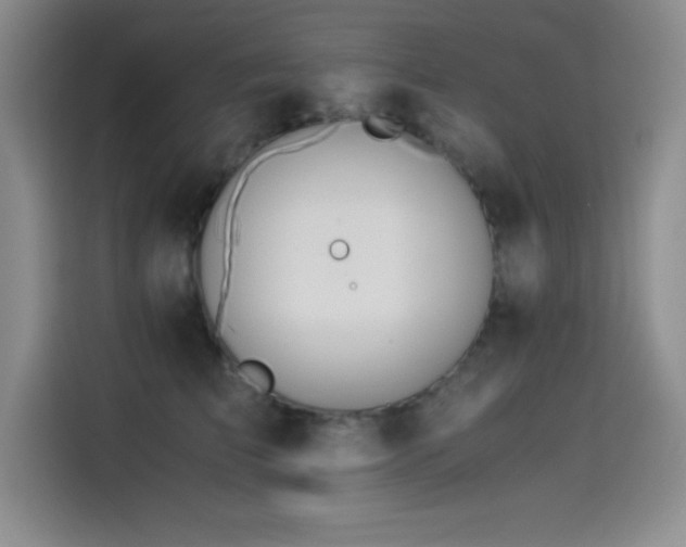 X0000114500709200910191251
